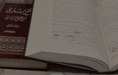 IMG_1993.jpeg