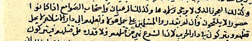 SERVILI 73-_00441-small.jpg