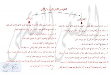 العلاقة بين الأ&#1.jpg