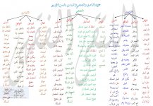 الفرق بين النسب &#.jpg