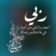 أسامة بن حسن البلخي